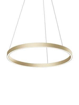 Große LED-Pendelleuchte Rim in Gold