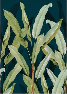 Adesivo murale oliva Branch