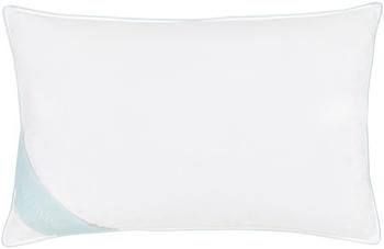 Cuscino in piuma Comfort, morbido