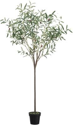 Ręcznie wykonane dekoracyjne drzewko Olive Tree