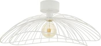 Grote plafond- en wandlamp Ray