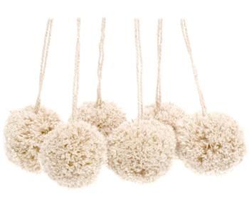 Pompones Lily, 6 uds.