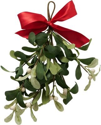 Decoratieve hanger Mistletoe