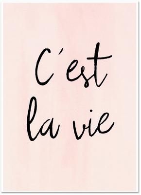 Poster C'est La Vie