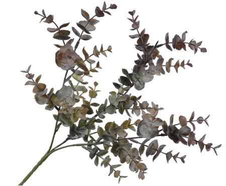Kunstblume Eukalyptus Edi