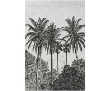 Papier peint photo Palms