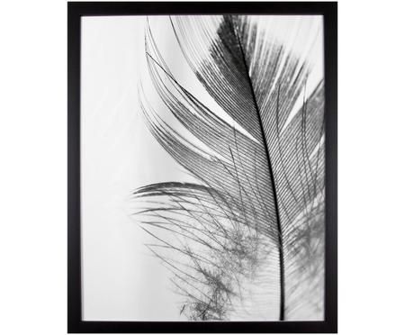 Gerahmter Digitaldruck Feather