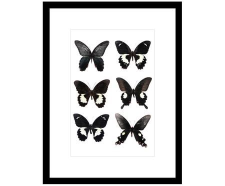 Gerahmter Digitaldruck Butterflies Dark