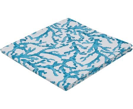 Nappe Estran