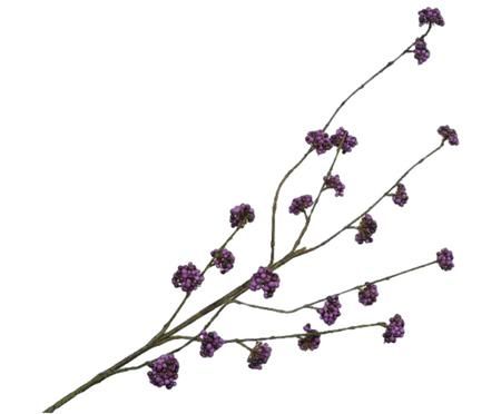 Kunstblume Callicarpa