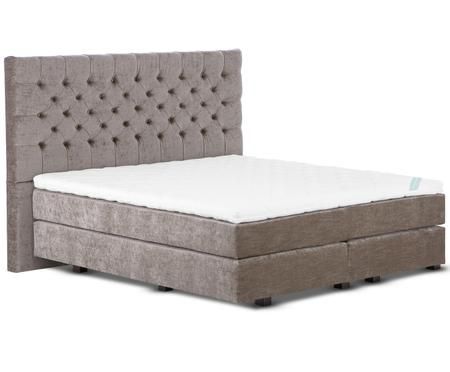 Premium Samt-Boxspringbett Phoebe