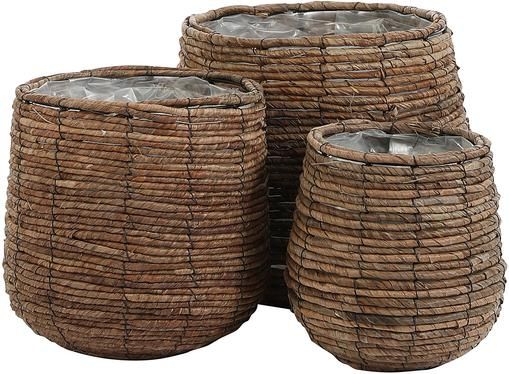 Set de maceteros Santo, 3 uds., con bolsa de plástico
