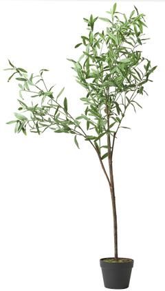 Kunstpflanze Olive im Übertopf
