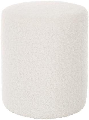 Teddy-Hocker Daisy in Cremeweiss